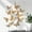Gold, variant on Clearance Wall stickers under $1,3D Hollow Butterfly Wall Stickers Home Decor Cardboard Butterfly Wall Stickers