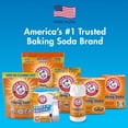 thumbnail image 2 of Filtro de aire para refrigerador Arm & Hammer Fridge Fresh, 2 of 9