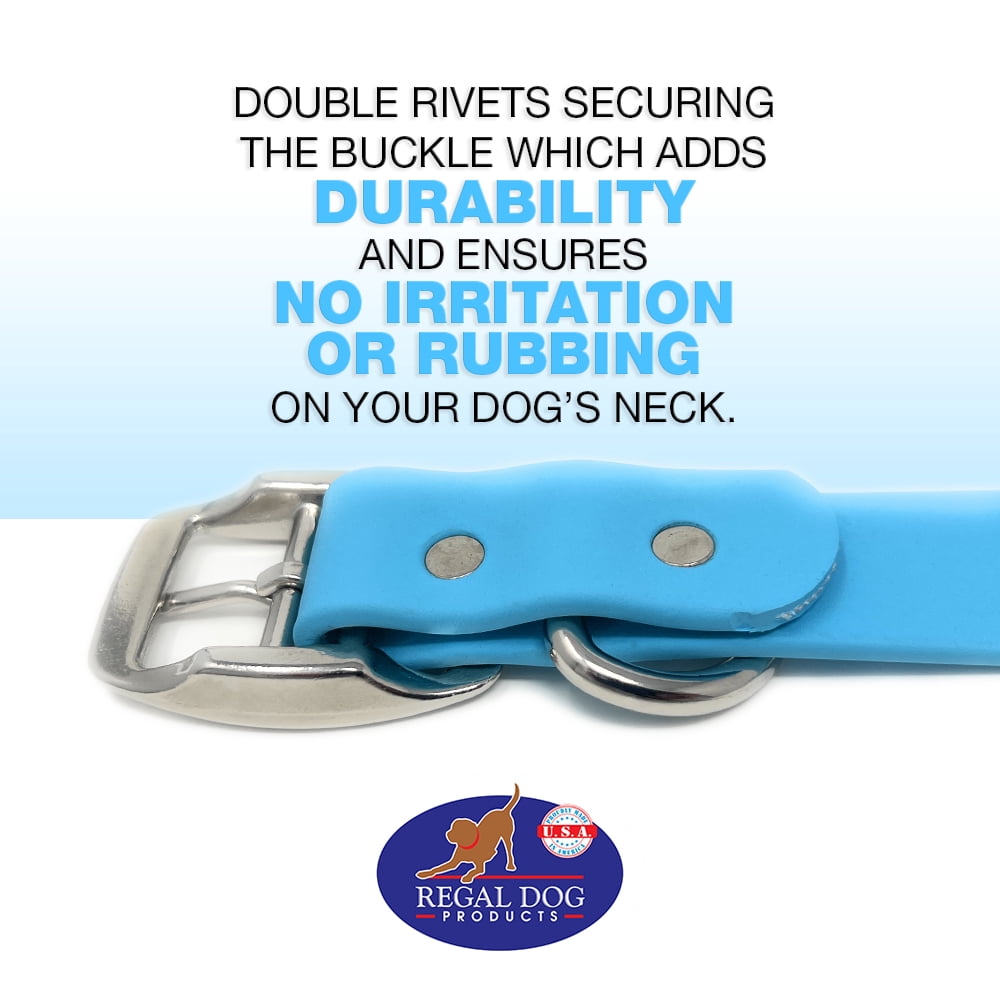 Regal Dog Products Waterproof Collar with Double Buckle and D Ring