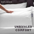thumbnail image 3 of Lincove Canadian Resort Adult Hypoallergenic Cotton Bed Pillows, Queen 2 Pack, 3 of 6
