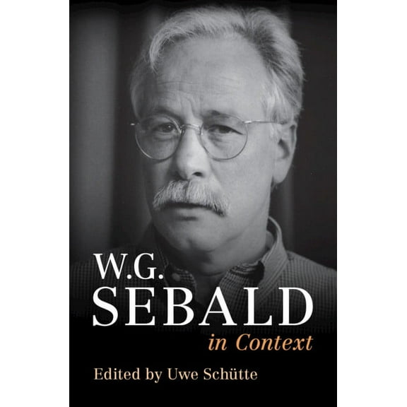 Literature in Context W. G. Sebald in Context, (Hardcover)