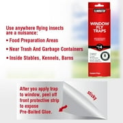 (3 pack) Eliminator 4 Pack Window Fly Trap