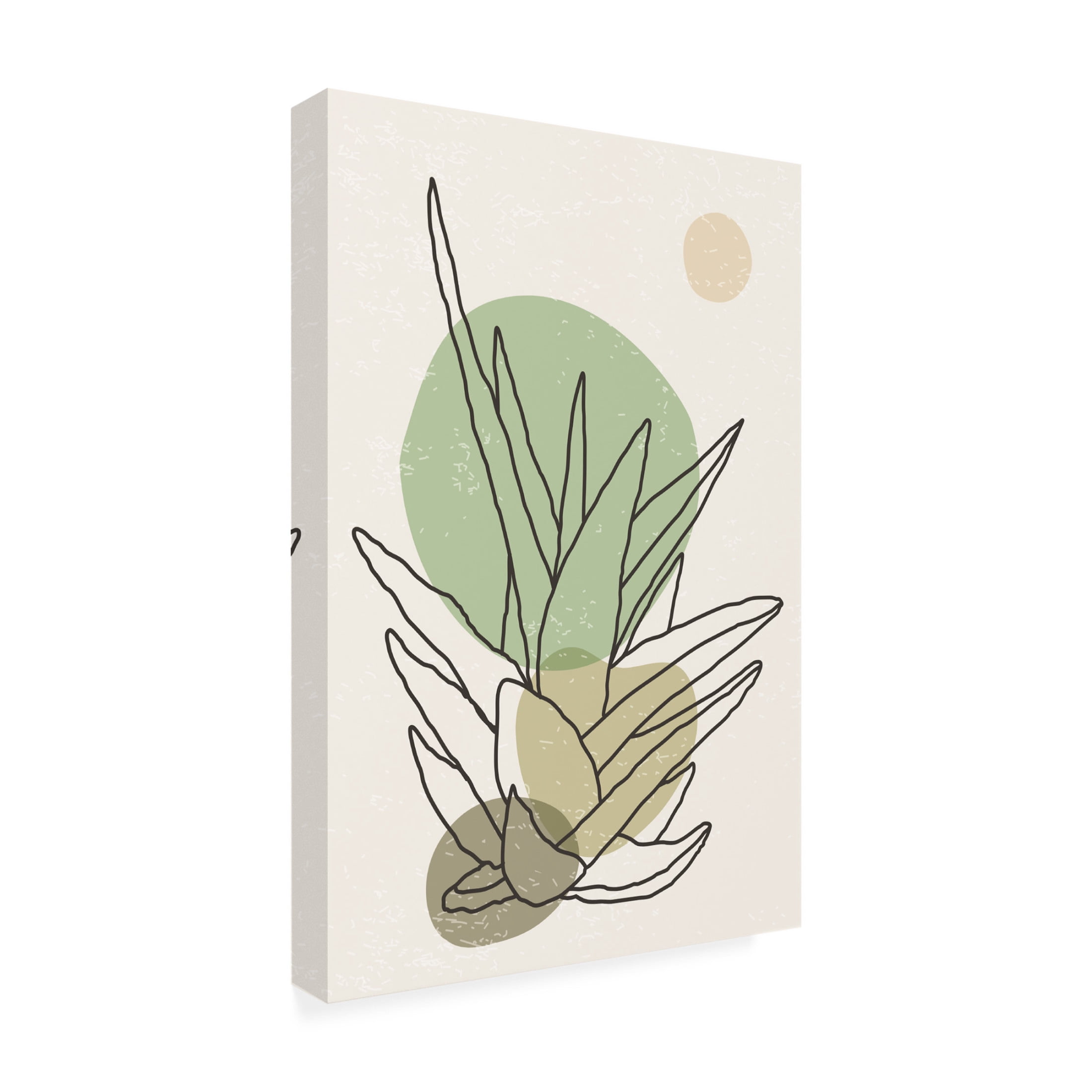 Trademark Fine Art jay stanley Color Abstract Agave 3 Canvas Wall Art