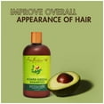 thumbnail image 4 of SheaMoisture Power Greens Daily Shampoo for Curly Hair, Moringa and Avocado, 13 fl oz, 4 of 13