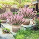 thumbnail image 4 of Plantas artificiales de exterior, vegetación colgante para interior, plástico duradero, fácil mantenimiento, decoración moderna, para jardines, decoración de bodas, plantas de balcón,, 4 of 9
