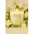 thumbnail image 3 of Vela Aromática Decorativa Ambientair Esencia Jazmín 125gr, 3 of 3
