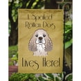 thumbnail image 3 of Caroline's Treasures BB1464GF Cocker Spaniel Spoiled Dog Lives Here Flag Garden Size , Small, multicolor, 3 of 3
