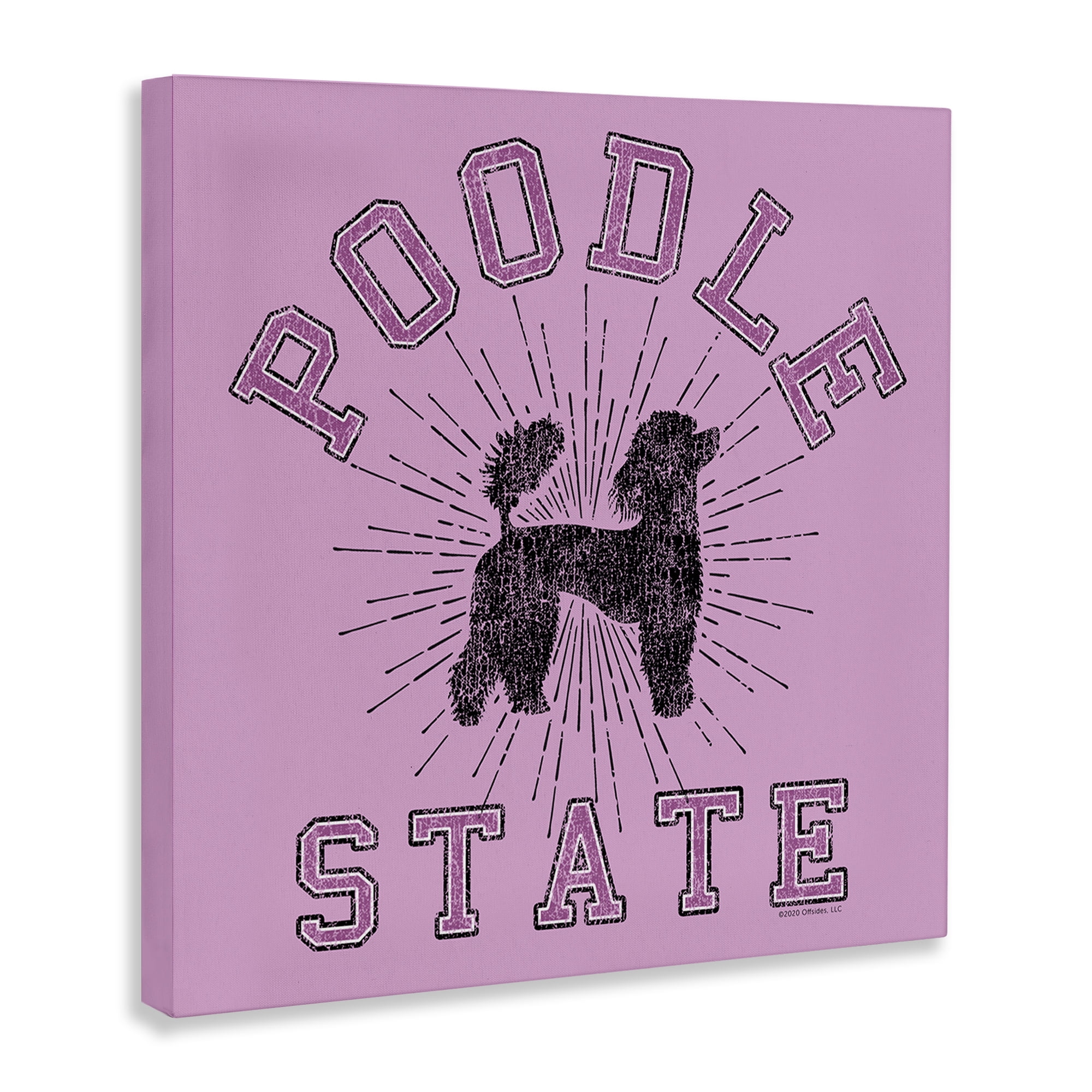 Stupell Industries Varsity Style Poodle State Novelty & Humor Painting Wrapped Canvas Art Print Wall Art, 30 x 30