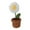 Small Daisy, variant on Siruishop Hand Knitted Flower Mini Potted Handmade Kintting Flower for Valentine's Day Pink Tulips
