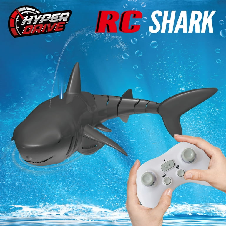 Rc shark outlet
