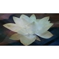 thumbnail image 3 of Bartola 18x12 Black Modern Framed Museum Art Print Titled - Lotus Designs, 3 of 5