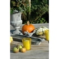 thumbnail image 3 of Esschert Design USA XH63-AR Cast Iron French Urn Planter (Discontinued by Manufacturer), 3 of 3