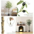 thumbnail image 7 of Colourtree 71" Tall Faux Olive Tree, Realistic Texture Potted Silk Artificial Olive Tree， Fake Olive Trees Indoor Outdoor for Home Office Living Room Bedroom Foyer Porch Decor - Pot Style 05, 7 of 7