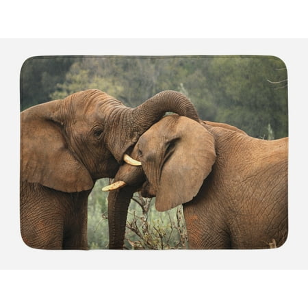- Safari Bath Mat, Two Wild Savannah Elephants Wrestling Cute Nature Icons South African Animals Photo, Non-Slip Plush Mat Bathroom Kitchen Laundry Room Decor, 29.5 X 17.5 Inches, Brown Green, Ambesonne