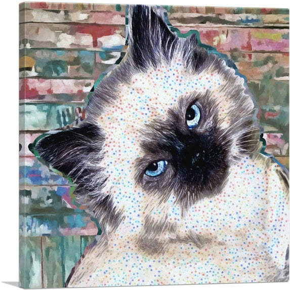 ARTCANVAS Himalayan Cat Breed Kitten Canvas Art Print - Size: 26" x 26" (1.50" Deep)