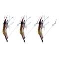 thumbnail image 2 of S Doux et Lumineux, 3 Morceaux de S pour, Rouge Brillant, 2 of 8