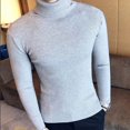 Brand Men Turtleneck Sweaters and Pullovers 2022 Fashion Knitted