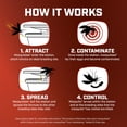 thumbnail image 4 of Kit de recarga Ortho Home Defense para matar y prevenir mosquitos, 4 of 9