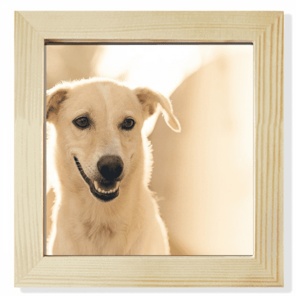 Sle White Dog Pet Picture Square Picture Frame Wall Tabletop Display