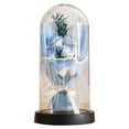 thumbnail image 4 of DJN Home & Garden Elegant Preserved Roses In Glass Dome With Warm LED Light – A For All Occasions, 4 of 9