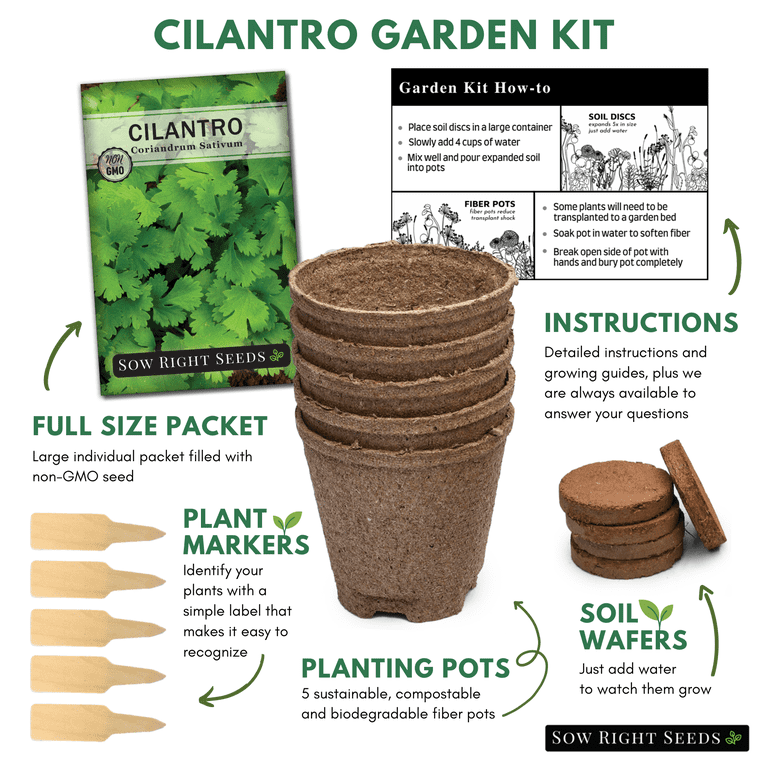 plant clay pots Sculpey Air-Dry™ Terra Cottasaurus Dino Planter main image 0