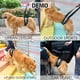 thumbnail image 5 of Arnés de levantamiento de perros LovinPet ajustable para patas traseras débiles, 5 of 9