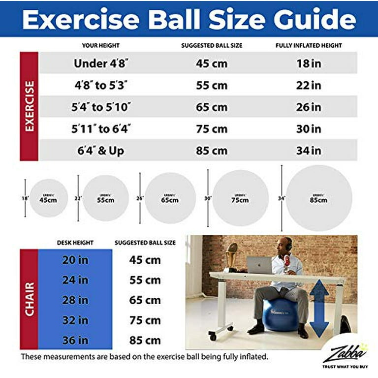 URBNFit Exercise Ball Multiple Sizes for Fitness Stability Balance Yoga Ball Workout Guide Quick Pump Included Anti Burst Professional