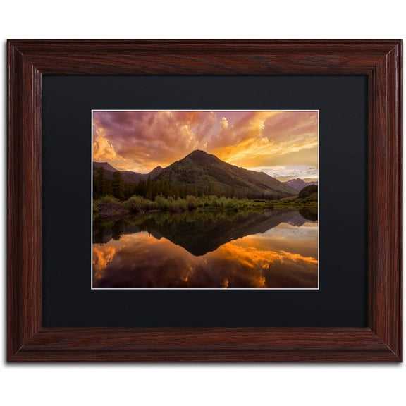 Trademark Fine Art "Orange Majesty" Canvas Art by Michael Blanchette Photography Black Matte, Wood Frame