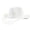 White, variant on Vintage Western Cowboy Straw Hat for Men Women Curved Brim Summer Outdoor Sun Cap for Beach Vacation,One Size