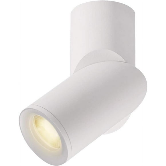 Directional Spot Light, Multi Functional Recessed Light 3000K Aluminum Indoor Ceiling Spotlight for Living Room Painting