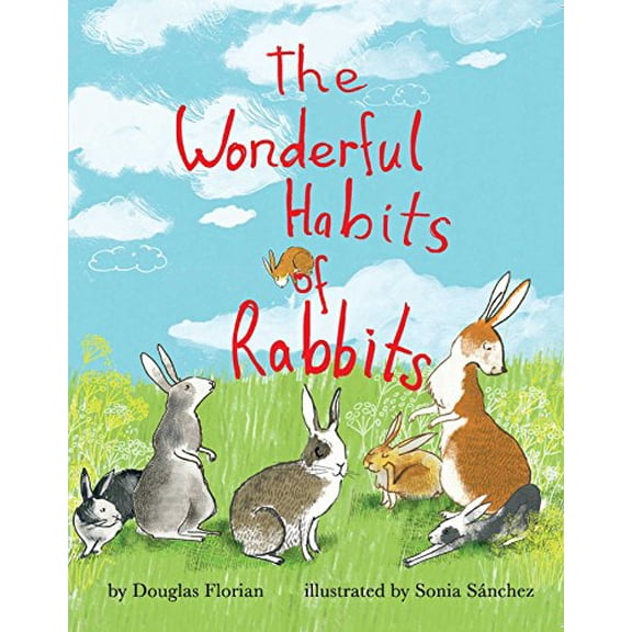 Pre-Owned The Wonderful Habits of Rabbits (Mini Bee Board Books) Paperback