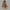 Khaki, variant on dtydtpe winter coats for women womens winter lapel coat trench jacket long overcoat outwear plus size tops for women red