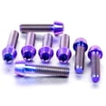 thumbnail image 6 of Titanium Top & Bottom Clamp Yoke Pinch Kit (TITRIPCL750), 6 of 6