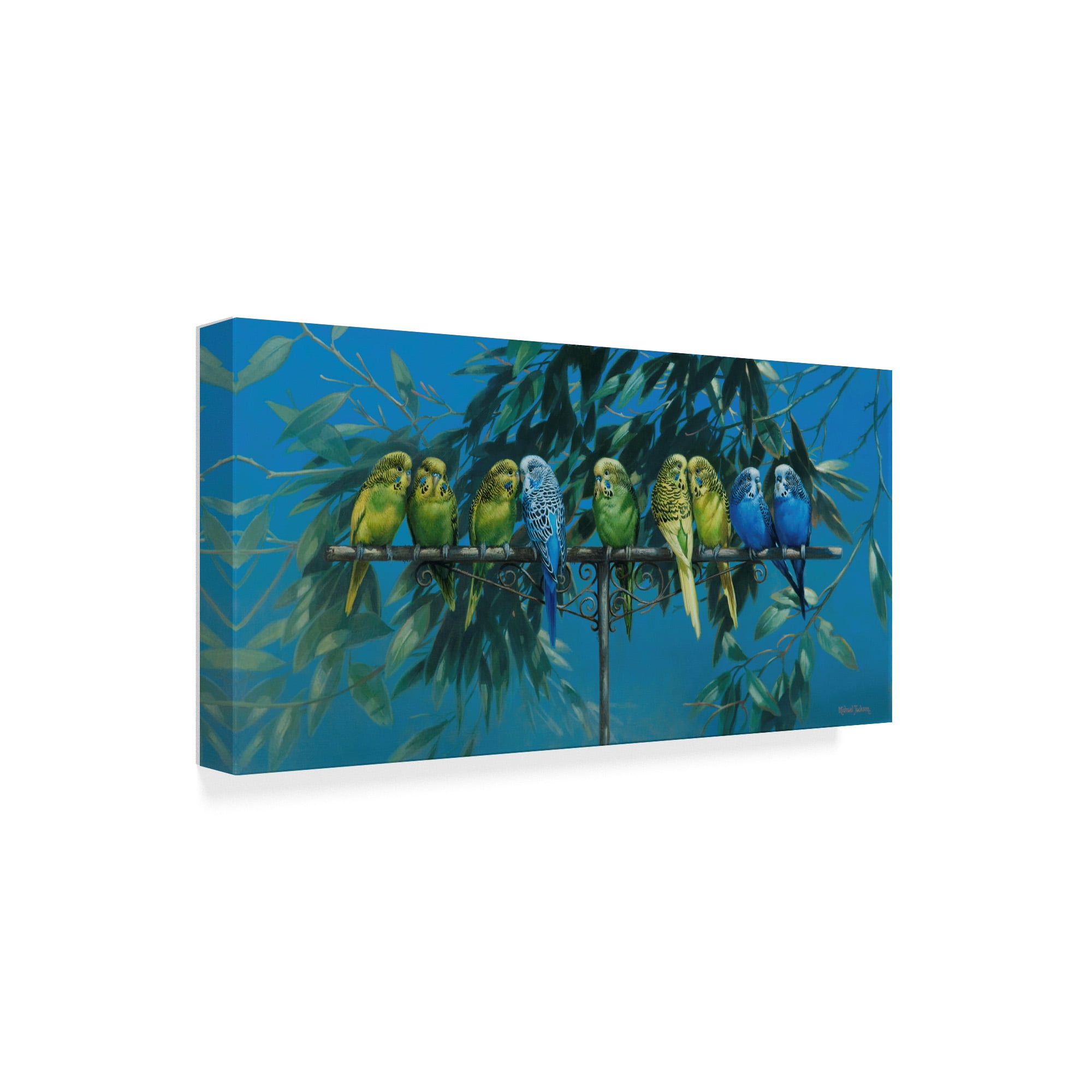Trademark Fine Art 'Budgies' Canvas Art by Michael Jackson