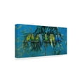 thumbnail image 2 of Trademark Fine Art 'Budgies' Canvas Art by Michael Jackson, 2 of 3