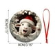thumbnail image 2 of Animales Sonrientes Navideños con Gorros de Papá Noel Como Adornos para El Árbol, 2 of 6