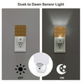 thumbnail image 3 of Bingfone Vintage fall harvest basket Print Night Lights Plug into Wall,Dusk to Dawn,Bright Nightlight Auto-On/Off, for Adults Kids Room Bedroom Bathroom Hallway Kitchen, 3 of 7