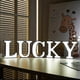 thumbnail image 4 of 2026 Qinwei Led Marquee Letter S-diy Marquee S Up Letter 26 Bet For Wedding, , Bar Rat Letter Y-Min, 4 of 4
