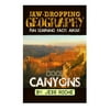 Jaw-Dropping Geography: Fun Learning Facts about Cool Canyons: Illustrated Fun Learning for Kids
