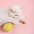 thumbnail image 4 of Yellow Durable ABS Pet Robot Tumbler Swing Ball with Feather Cat Teaser Toy, 4 of 5