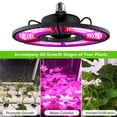 thumbnail image 6 of Skksst 2Packs E26/E27 Grow Light Bulb Foldable 432 LEDs 400W Full Spectrum Red Blue Indoor Plant Lamp, 6 of 7