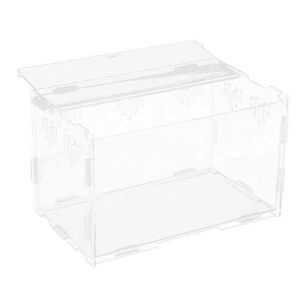 Caja de terrario para reptiles y anfibios para serpientes, tortugas y arañas S S