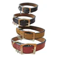 thumbnail image 2 of Urban Dog Collar Para Perro Liso 100% Piel Ch, G, Xg, 2 of 3