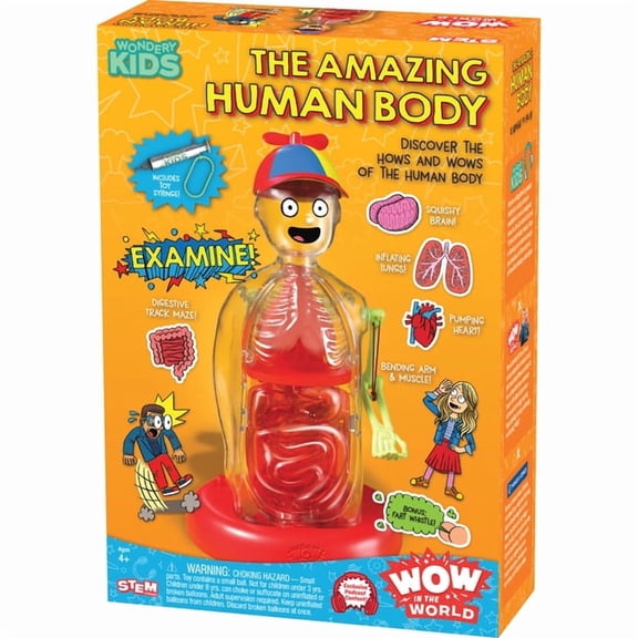 Wow in the World: The Amazing Human Body, (Hardcover)