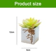 thumbnail image 2 of 2 uds flores falsas simulación suculentas bonsái plantas verdes artificiales adornos creativos, 2 of 5