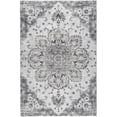 thumbnail image 2 of Addison Rugs Dream Shag Premium Machine Washable Traditional Ornate Fog Rectangle Rug, 3' x 5', 2 of 8