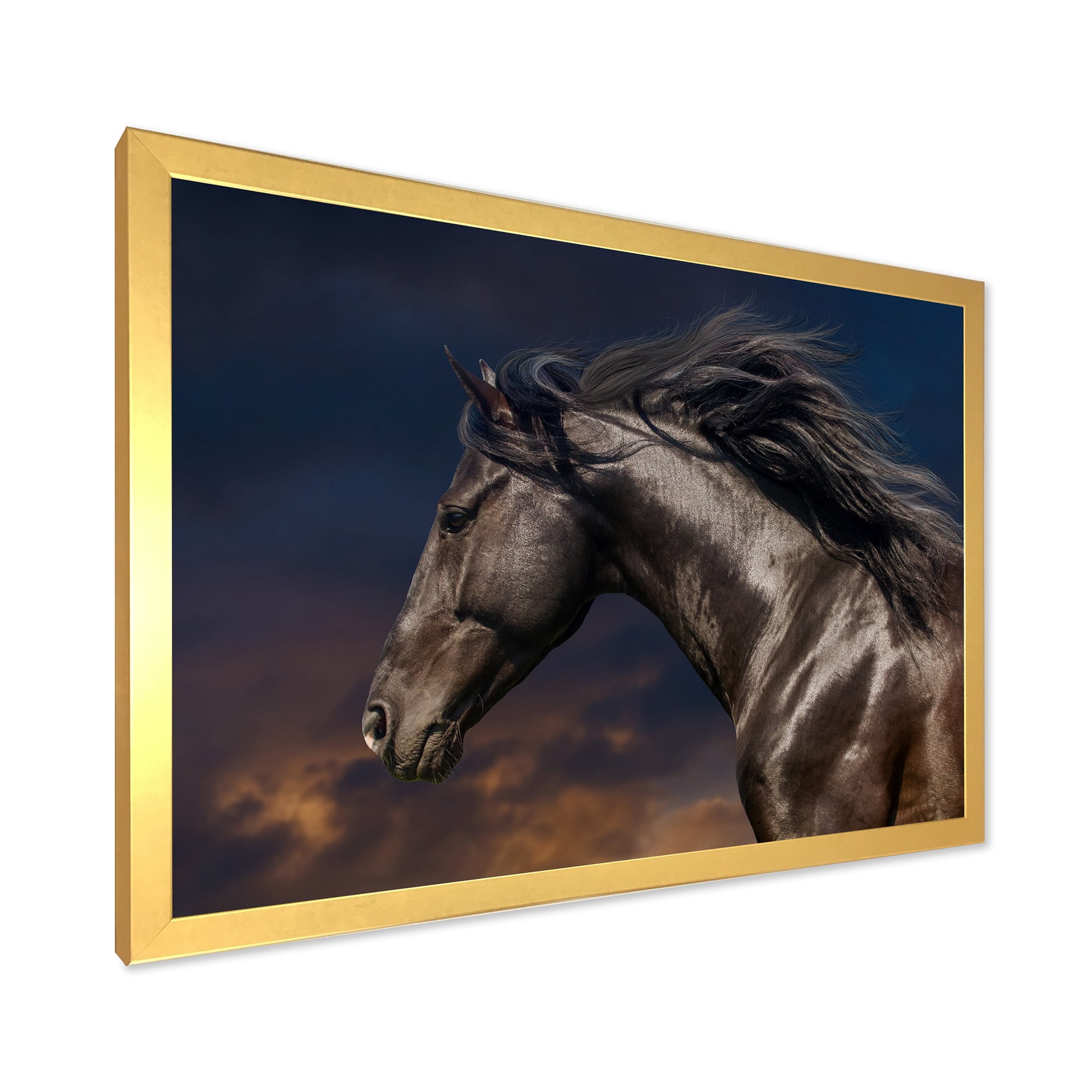 Designart 'Close Up Of Thoroughbred Nonius Stallion Horse III' Farmhouse Framed Art Print