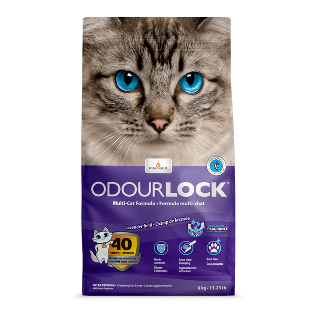 Arena Para Gato Aglutinante OdourLock Lavanda - 6 Kg Intersand OdourLock