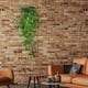 thumbnail image 5 of Decoración interior de pared colgante verde artificial, plástico verde, flor, verde falso, hiedra verde falsa, planta colgante, decoración interior D, 5 of 7
