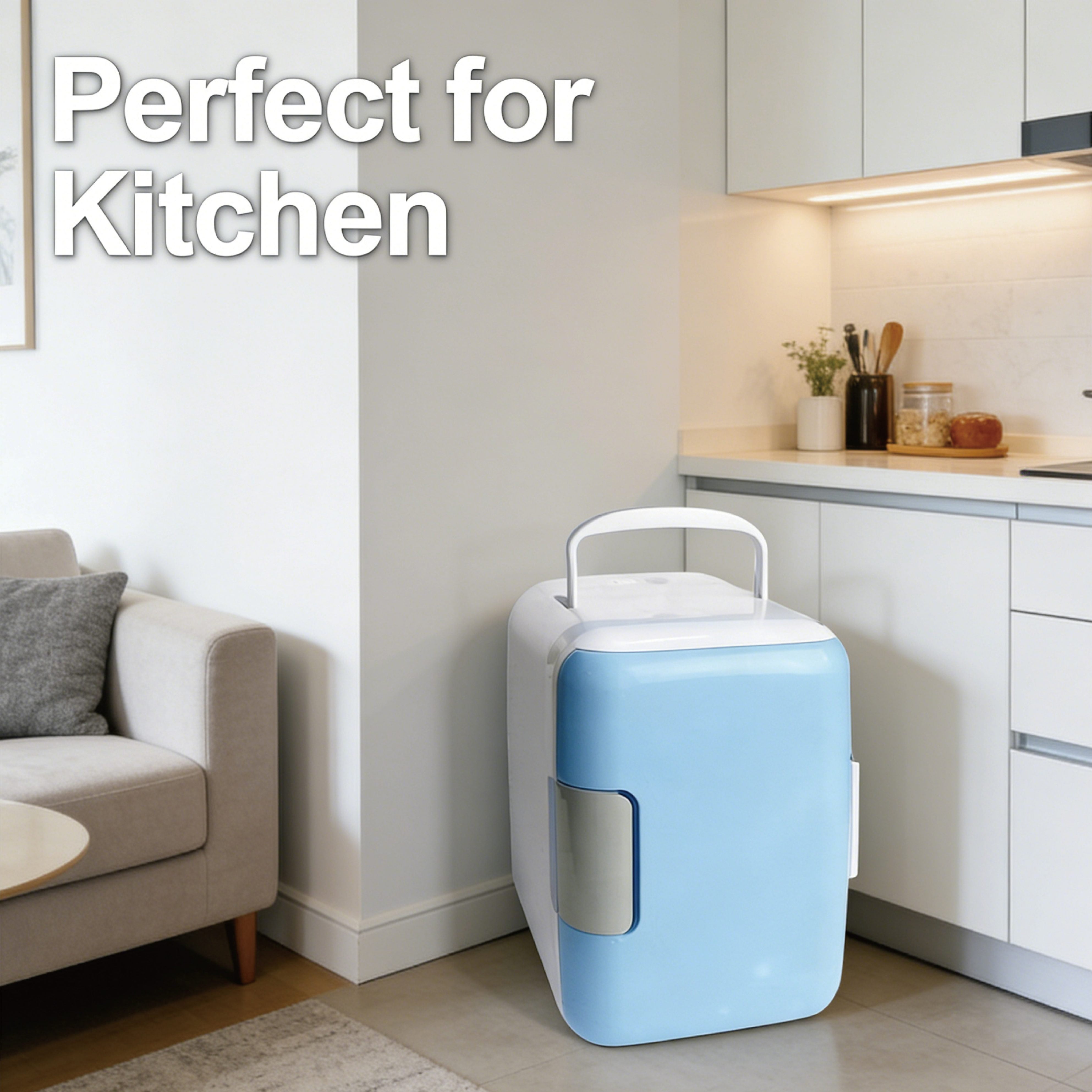 Vanis Portable refrigerators,Mini Fridge,10L/12 Can Luxury Skin Care Refrigerator, Small Beverage Fridges for Bedroom Office Dorm Car Travel, AC/DC Cooler & Heat for Foods, Drink
